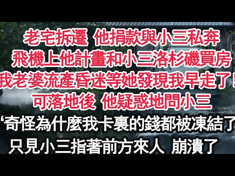 老宅拆遷 他捐款與小三私奔飛機上他計畫和小三洛杉磯買房“我老婆流產昏迷等她發現我早走了！”可落地後 他疑惑地問小三：“奇怪為什麼我卡裏的錢都被凍結了”只見小三指著前方來人 崩潰了【顧亞男】【大女主】