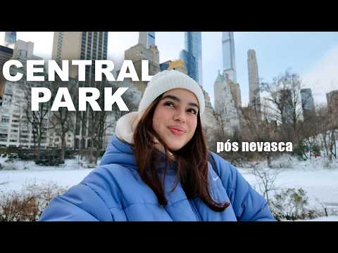 a verdade sobre Nova York depois da nevasca