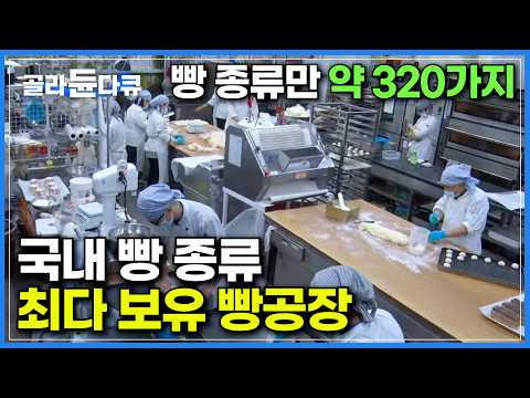 손님만 하루 평균 1,000여 명 이상! 전국에서 가장 많은 종류의 빵을 취급하는 빵집｜2층 공장에서 갓구운 빵 엘리베이터로 매장까지 옮기기｜빵지순례 필수코스｜극한직업｜#골라듄다큐