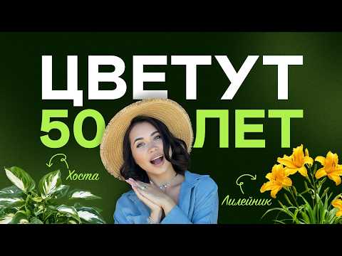 🌼DECADES WITHOUT REPLACEMENT: 15 OF THE LONGEST-LASTING FLOWERS!