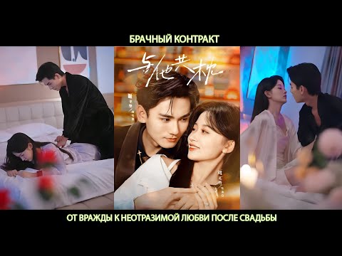 Брачный Контракт: от Вражды к Неотразимой Любви После Свадьбы