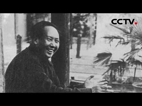 解放后全国剿匪成绩显著 广西为何却“越剿越多”?毛主席连发两封电报化解危机 20231101 |《国家记忆》CCTV中文国际