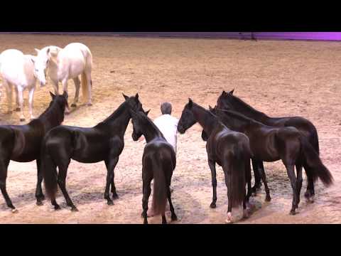 Jean-Francois Pignon - Black and White Show