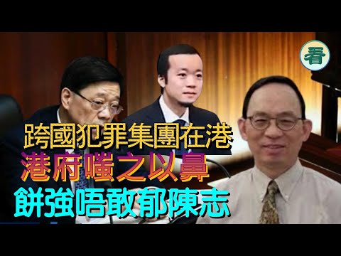 何良懋先生：陳志跨國犯罪集團，如常在香港繼續交易，港府嗤之以鼻......