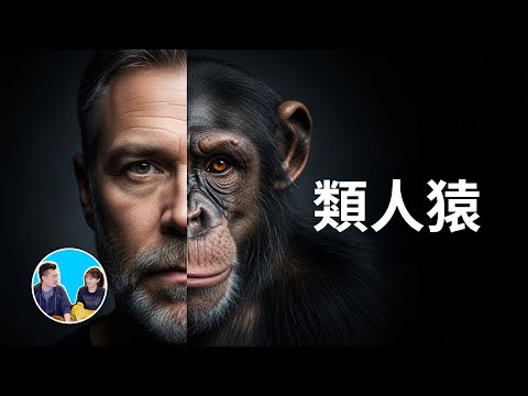 最接近人的生物 | 老高與小茉 Mr & Mrs Gao