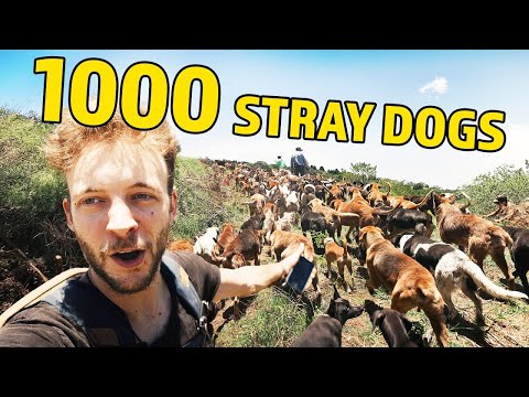 The biggest walk I've ever been on