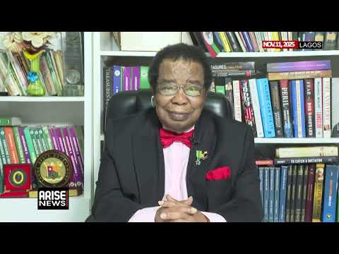 Confronting America With Verbal Support from China and EU Will Not Do Us Any Good – Akinyemi