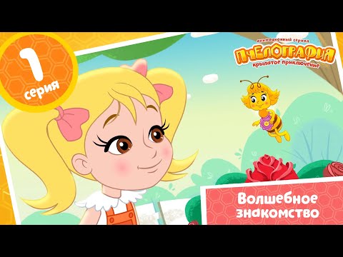 Пчелография 🐝 1 серия 🐝 Волшебное знакомство ⭐ Мультики для детей