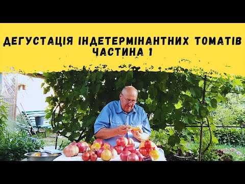 Дегустація індетермінантних томатів! Частина 1