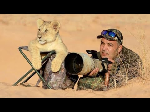 When Wild Animals Surprise Photographers in an Unexpected Way 😂 Funny Animal Videos 2025