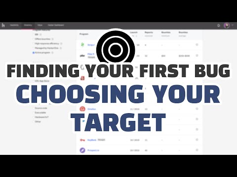 Finding Your First Bug: Choosing Your Target