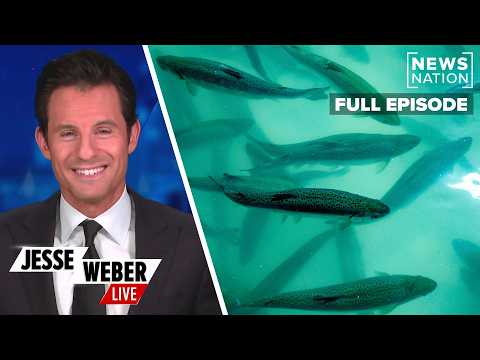 Cocaine in Salmon? New Study Has Scientists Concerned | Jesse Weber Live Full Show 4/24