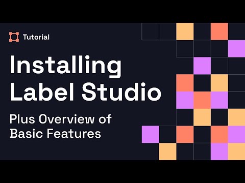 Installing Label Studio Plus Overview of Basic Features