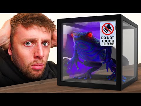 14 ANIMALS YOU DON'T WANT TO MESS WITH!