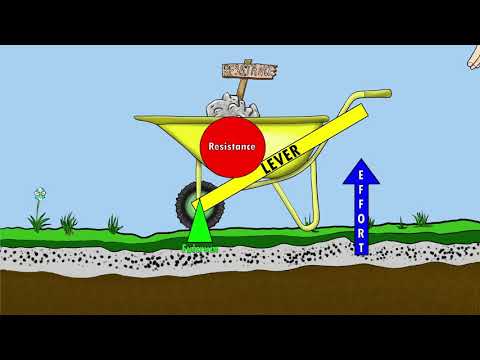 The 3 Classes of Levers || How we use levers in the world and our bodies  || By: Kinesiology Kris