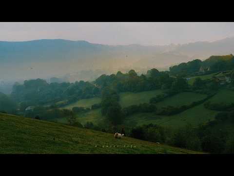 a playlist for quiet moments in the sunlit garden with soft melodies