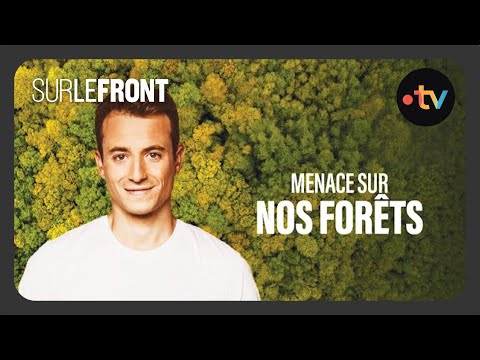 Menace sur nos forêts françaises (Intégrale) - Sur le front avec Hugo Clément