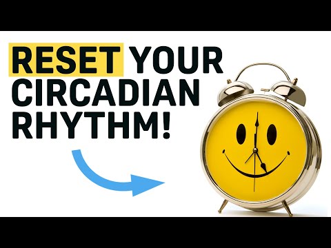 Can You Reset Your Circadian Rhythm?