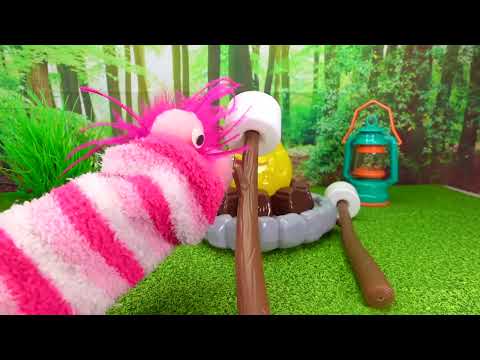 Fizzy the Pet Vet Helps a Cute Animal Camping in the Woods