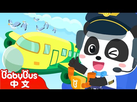 和奇奇機長開飛機 ✈ | 職業認知 - Jobs Song | 警察, 醫生, 消防員 | 中文兒歌 | 童謠 | 卡通, 動畫 | 寶寶巴士 | Nursery Rhymes | BabyBus