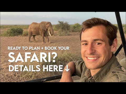 How to Book a Safari and Which Tour Company to Book Through: My Top Recommendation (East Africa)