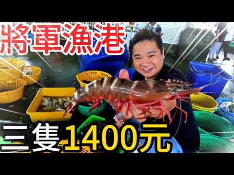 台南將軍漁港丨三隻1400海蝦超大隻丨閃亮亮的黃金鰭丨颱風前的魚市場長這樣滿滿漁獲大豐收