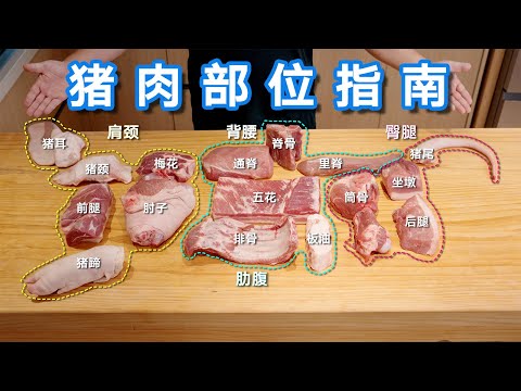 猪肉部位指南｜Every Cut of Pork Explained (Chinese Butchery)