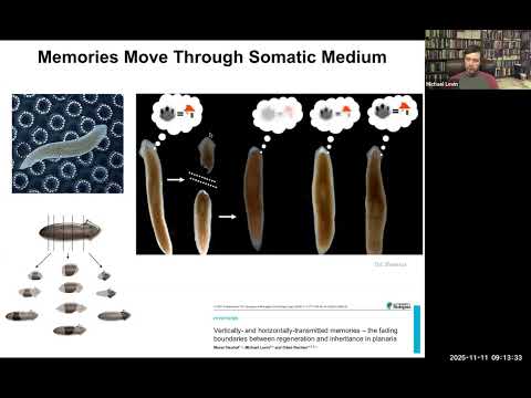 Michael Levin: Unconventional Embodiments: model systems... (ECSU OIST)