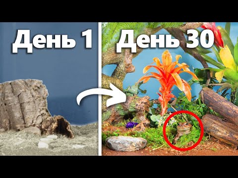 Симуляция тропического леса на 30 дней