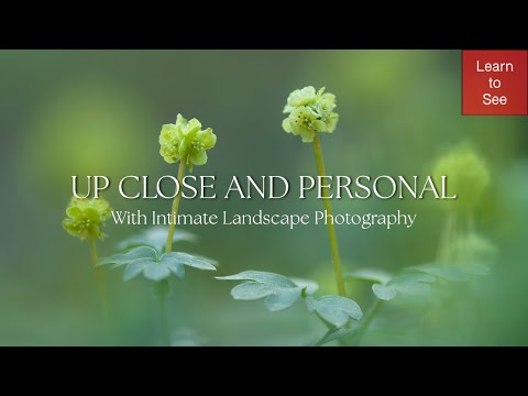 Up Close and Personal with Intimate Landscape Photography.