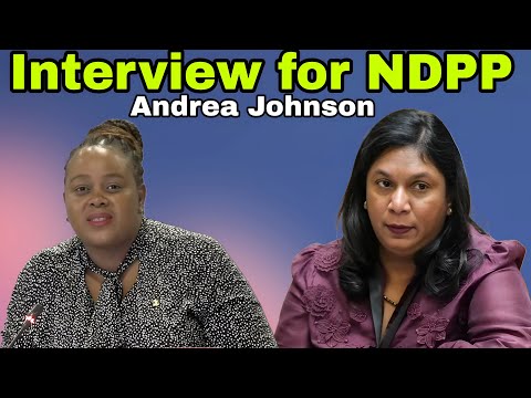 Adv Andrea Johnson Interview for National Director of Public Prosecutions. NDPP.