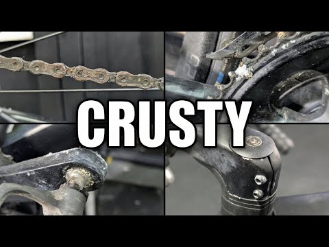 3 Years Old and Destroyed? Rescuing a Corroded Trek Domane.