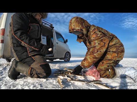 Fishing in the Gulf of Nabil, catching ZUBAR.
