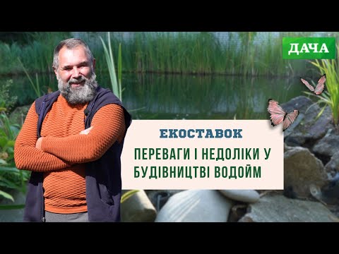 Природній Ставок чи Штучний? Переваги і Недоліки у Будівництві Водойм.