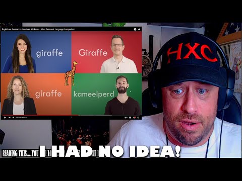English vs. German vs. Dutch vs. Afrikaans | West Germanic Language Comparison REACTION!