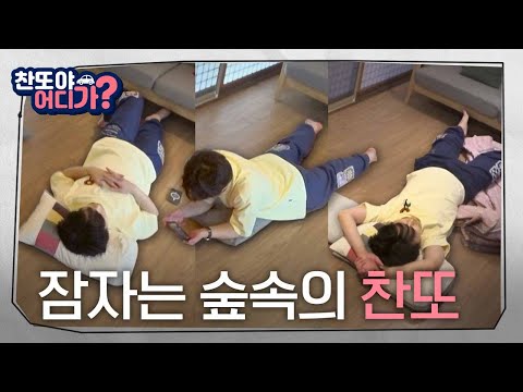 [찬또야 어디가? 6화] 또린이는 잠꾸러기😴 (with 힐링 불멍🔥& 서프라이즈 선물🎁)
