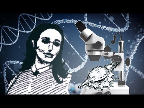 A "Scientific Analysis" of Return of the Obra Dinn