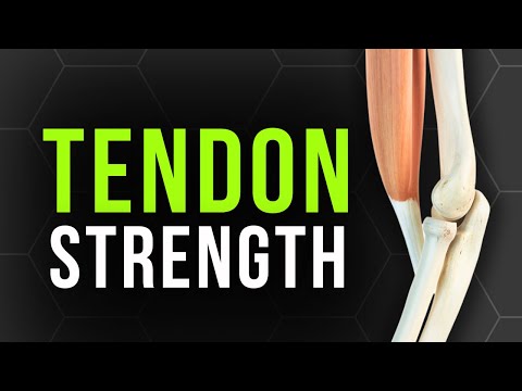 How to Really Strengthen Your Tendons | The 70% Rule