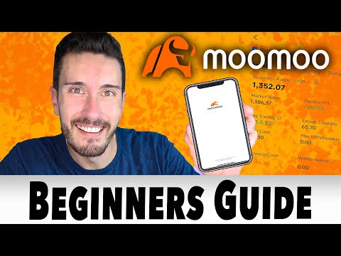 Moomoo for Beginners Tutorial - What You MUST Know