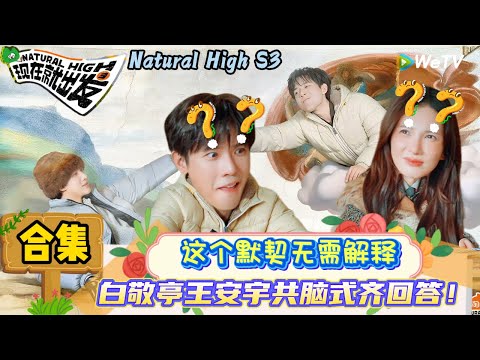 【现在就出发 第3季】“神笔小马良”合集：蚌埠住了！宇过天亭组合“共脑”名场面！ | Natural High S3#现在就出发3#综艺#沈腾#范丞丞#王安宇#贾冰#黄景瑜#金晨#白敬亭