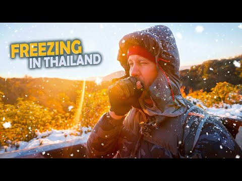 We are Freezing in Thailand! / Scenic Motorbike + Food Adventure in Chiang Mai's Mountains