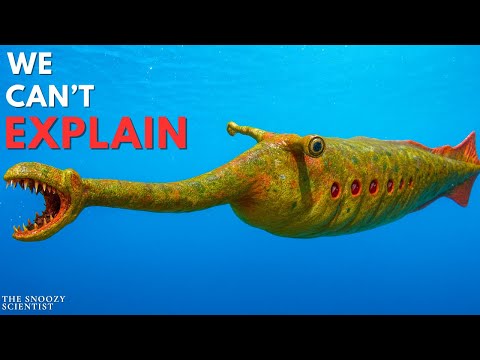 The Deeper You Go, The Stranger Prehistoric Oceans Get…