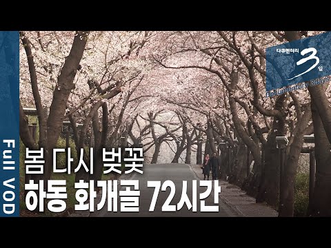 [다큐3일📸] 봄의 추억을 선물하는 곳, 향긋한 봄 냄새를 가장 먼저 선물 받는 곳, 벚꽃향 가득한 하동 화개골 72시간 | KBS 2019.04.21 방송