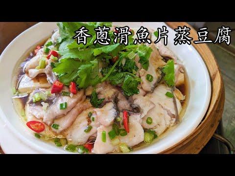 香蔥滑魚片蒸豆腐/超滑/新手 入門/超容易 收工做都得/廣東話/中字/p325