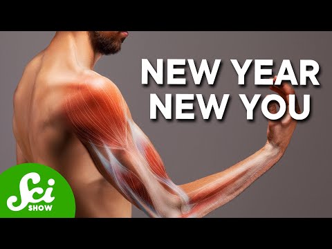 How Much of Your Body Is New Every Year? | Compilation