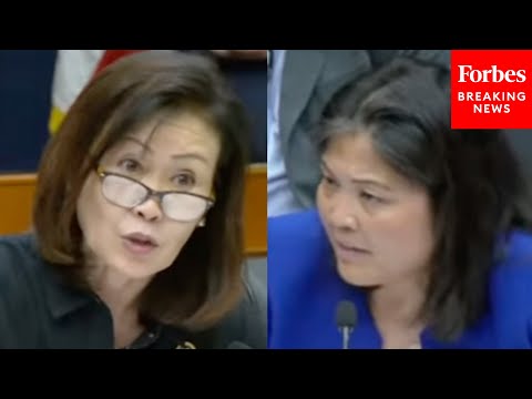 Michelle Steel Accuses Acting Labor Sec. Julie Su Of ‘Allowing States To Sweep Fraud Under The Rug’