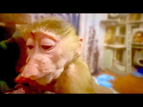 Манечке полегче, но она ХИТРИТ и не хочет отпускать меня и даже идти к Владу!