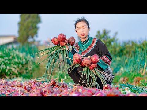 Amazing Onions: 365-Day Storage & Cooking Hacks|Wild Girl