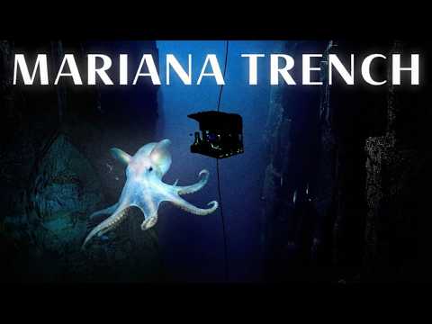 What Lies Hidden in the Darkest Part of the Ocean? | Documentary for Sleep