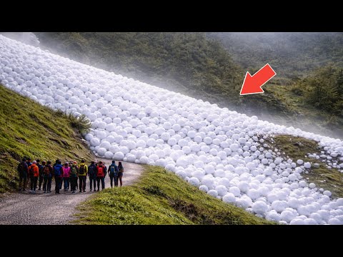 75 Most Incredible Nature Moments Ever Caught on Camera
